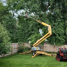 Best Emergency Tree Removal  in Clear Lake Shores, TX